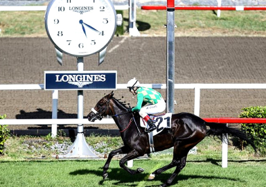 Gazi Koşusu'nu kazanan belli oldu!