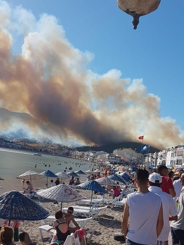 4266aceeb79e51149f9fde02c545177a