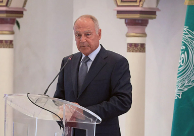 Arap Birliği Genel Sekreteri: Türkiye'nin Suriye operasyonu İşgal ve egemenlik ihlalidir