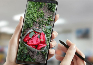 Dijital Tarım Pazarı açılıyor