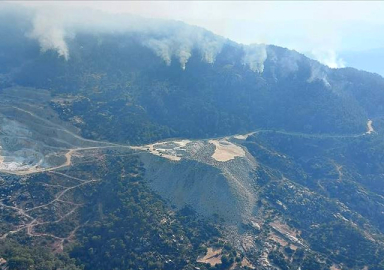 Aydın'da başlayan orman yangını Muğla'ya sıçradı!