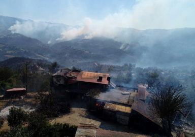 Pakdemirli: Kozan'daki orman yangını kontrol altına alındı