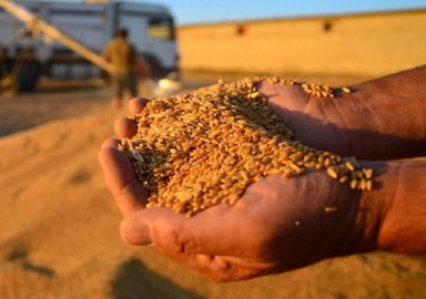Buğday, arpa ve mısırda vergi sıfırlandı