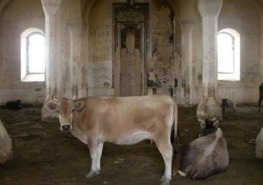 Ermeniler Zengilan'da camiyi domuz ahırına çevirdi