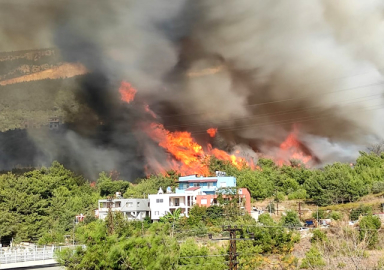 Hatay ve Mersin'de orman yangını