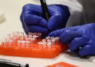 Türkiye'de corona virüsten son 24 saatte 356 can kaybı, 26 bin 476 yeni vaka 5 mayıs 2021