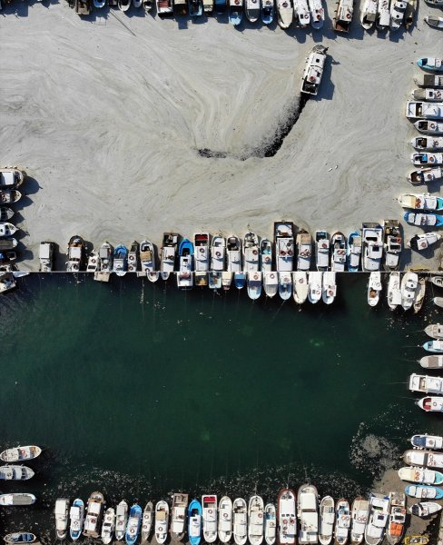 20210705_2_49056185_66703087_Web