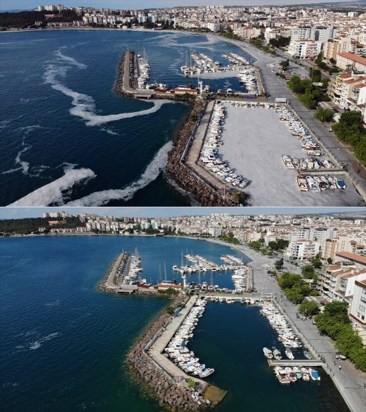 20210705_2_49056185_66703088_Web