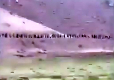 Afgan mülteciler akın akın Türkiye'ye geliyorlar