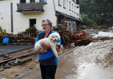 Almanya'da sel felaketi: Ölü sayısı artıyor