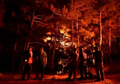 Hatay ve Mersin'de orman yangını