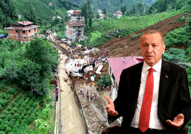 Erdoğan: Rize'de ağaçlar sökülüp çaylık yapıldı