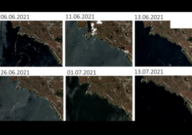 Müsilaj uzaydan görüldü