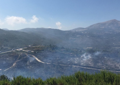 Adana'da büyük orman yangını