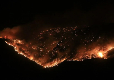 Türkiye'nin ormanları yanıyor