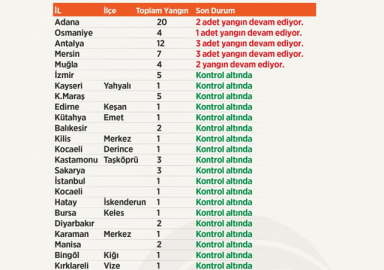 Yangınlarda son durum! 21 ilde çıkan 79 yangının 70'i kontrol altına alındı