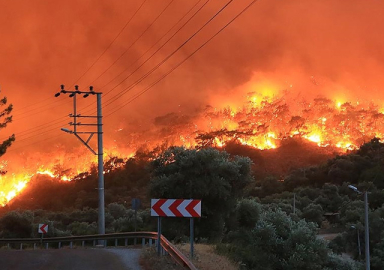 3 ilde 8 noktada yangınlar sürüyor