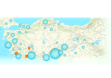Türkiye, 6 gündür yangınlarla mücadele ediyor! Bir ilde daha orman yangını