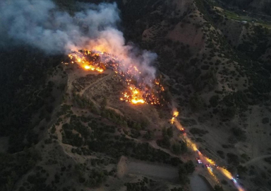 Orman yangınlarında son durum: 9 yangın devam ediyor