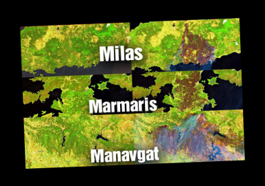Bodrum, Manavgat ve Marmaris'ten yürek burkan görüntü