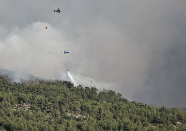 Bakan Pakdemirli: 38 ilde 163 yangın çıktı, 152 tanesi söndürüldü