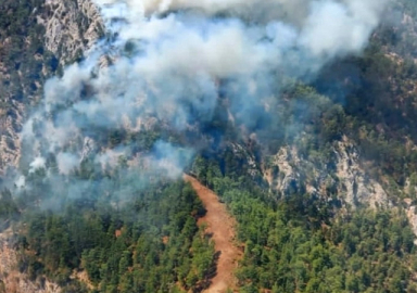 Köyceğiz’de yine orman yangını başladı