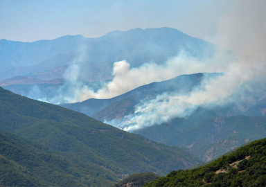 Ülke genelindeki 6 orman yangını kontrol altına alındı