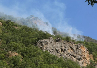 Tunceli ve Bingöl'de orman yangını