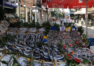 Hamsi bollaştı, fiyatlar yarıya indi