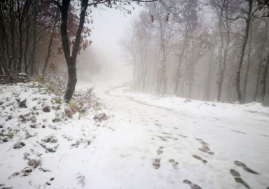 Meteoroloji, kar ve kuvvetli yağış uyarısında bulundu