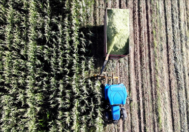 Gübre fiyatına indirim geldi