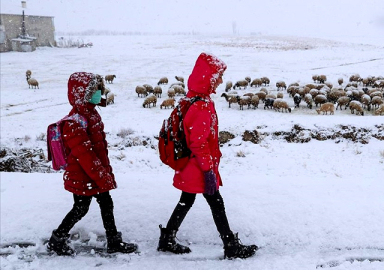 Birçok ilde eğitime ara verildi