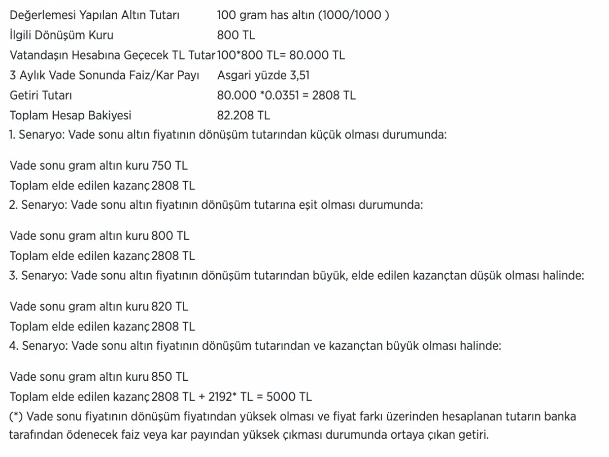 altin-hesabi_7696