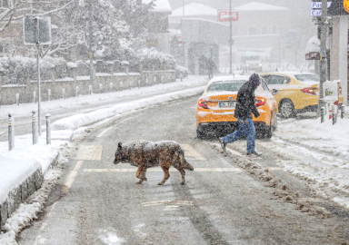 İstanbul kara teslim oldu! Akşam saatlerinde etkisini artırdı