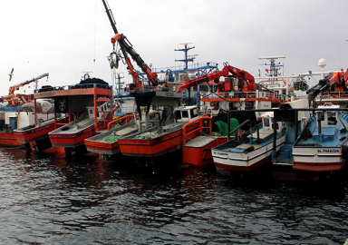 Mayın alarmı: Karadeniz'de balık avlamak yasaklandı