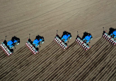 Dünyada tahıl krizi yolda