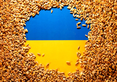 22 milyon ton tahıl depolarda bekletiliyor! Putin yeşil ışık yaktı