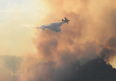 Muğla'daki orman yangını kontrol altına alındı