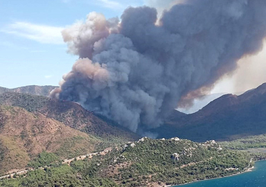 Marmaris'te orman yangını başladı