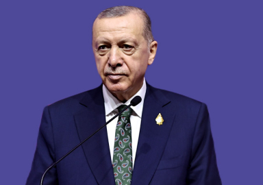 Cumhurbaşkanı Erdoğan: Belediyeler başıboş sokak hayvanlarını toplamalı