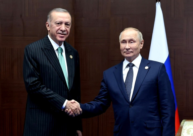 Cumhurbaşkanı Erdoğan, Putin ile görüştü