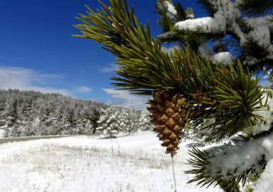 Meteoroloji 11 ili uyardı: Nisan'da kar uyarısı