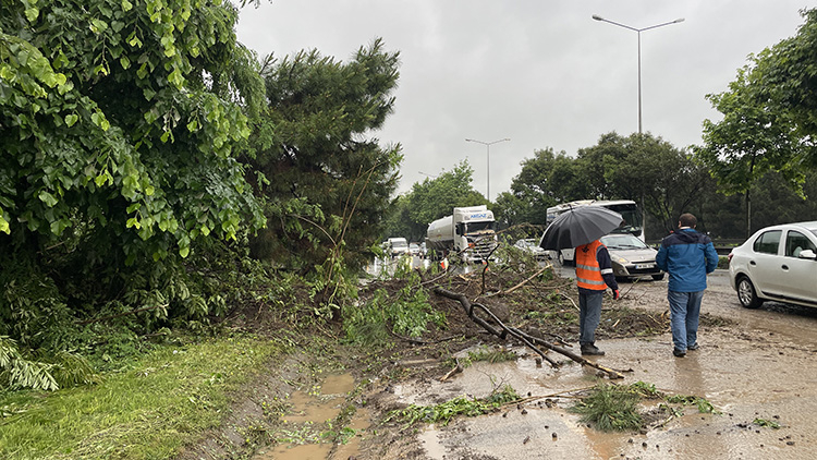 06_2023_05062023_samsunagac_