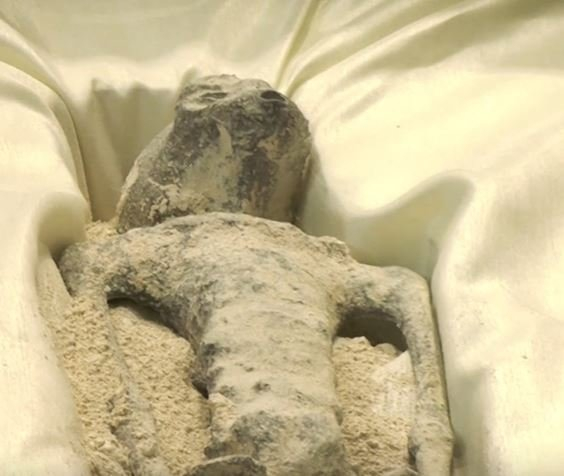 0x0-tami-tamina-1000-yasinda-goren-sasti-kaldi-bunlar-insan-degil-uzayli-1694602483482