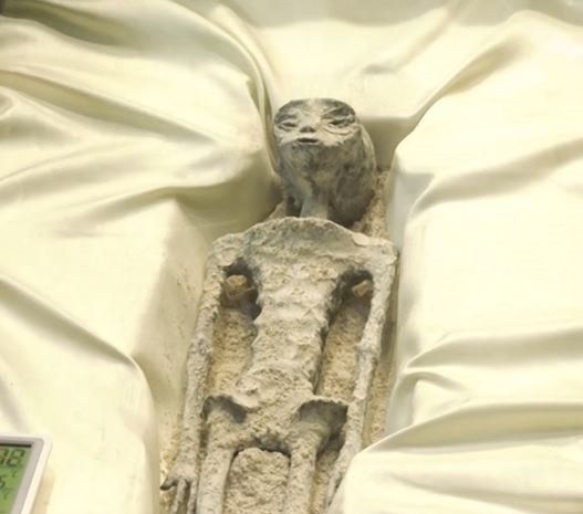 0x0-tami-tamina-1000-yasinda-goren-sasti-kaldi-bunlar-insan-degil-uzayli-1694602484013