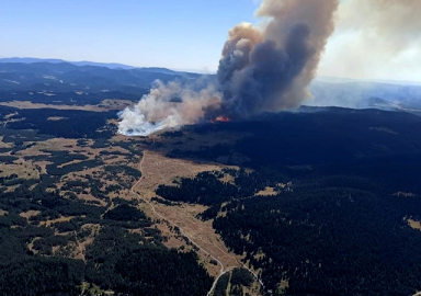 Ciğerlerimiz yanıyor! 4 büyükşehirde orman yangını