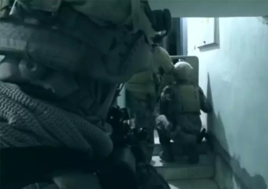 Terör örgütü DEAŞ'a BOZDOĞAN darbesi: Çok sayıda şüpheli yakalandı