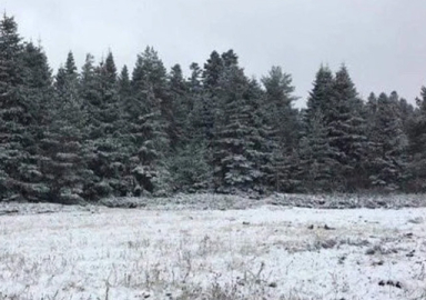 Ankara'ya mevsimin ilk karı düştü!