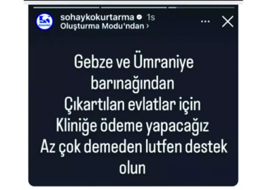 Köpekleri kaçırıp para topluyorlar! Belediye, vatandaşları uyardı