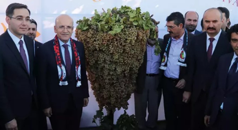 Bakan Şimşek, Batman'da 'Bağ Bozumu ve Gastronomi Festivali'ne katıldı